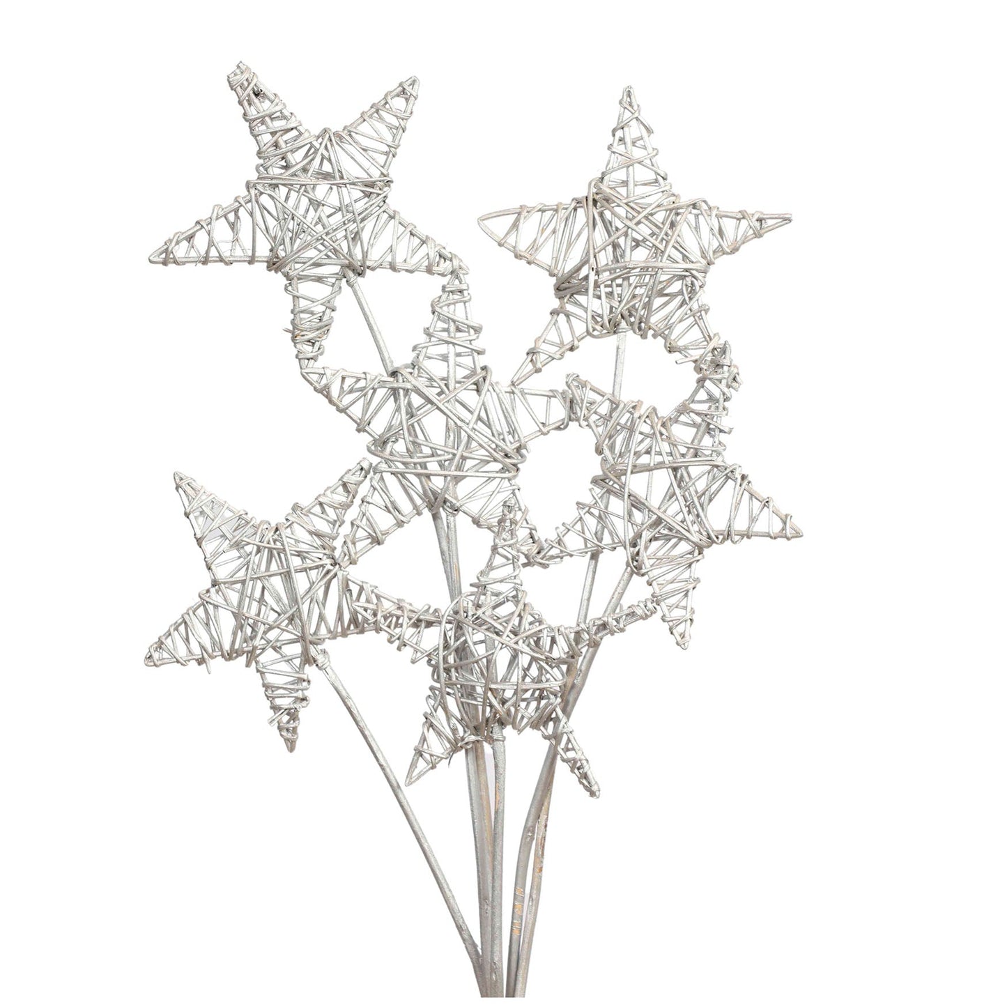 lata star 15 cm (6 stem) silver metallic