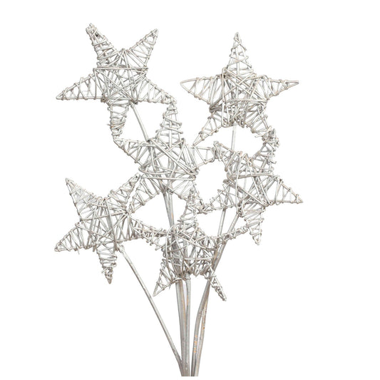 lata star 15 cm (6 stem) silver metallic