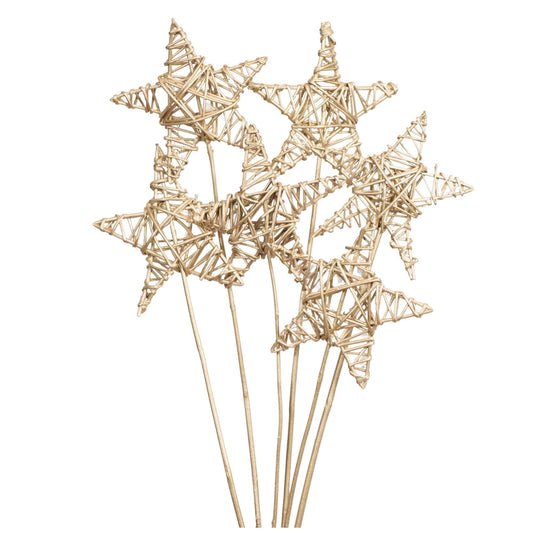 lata star 15 cm (6 stem) champagne metallic