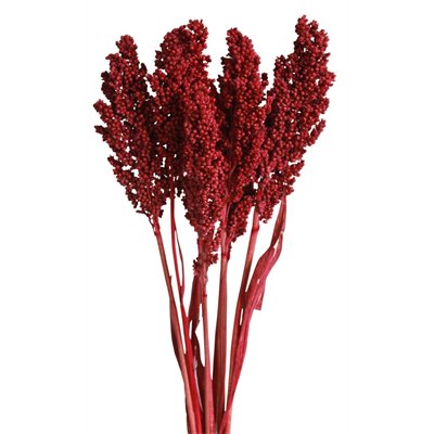 milo - 3-4 stem - red glitter