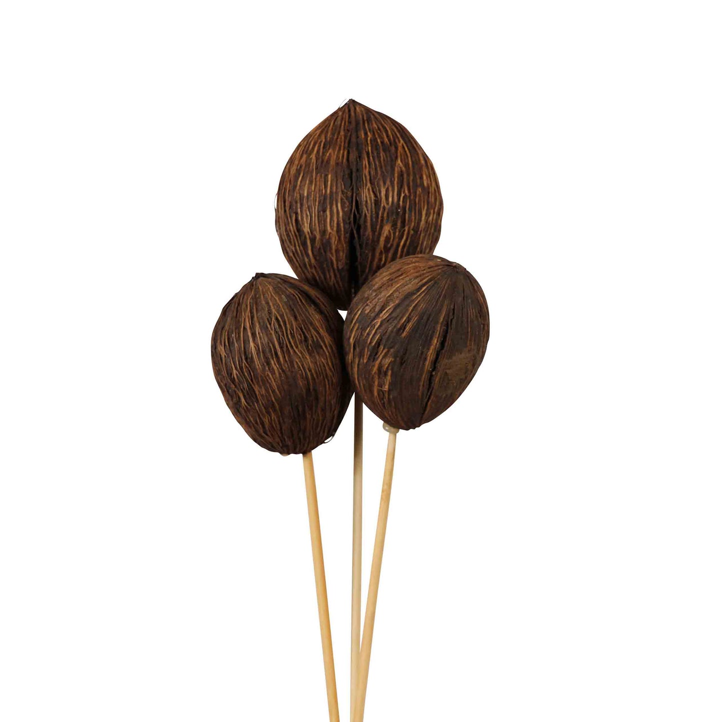 mintola balls (3 stem) natural