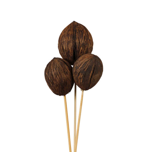 mintola balls (3 stem) natural