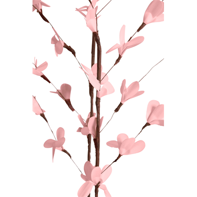 blossom branches (2 stem) pink