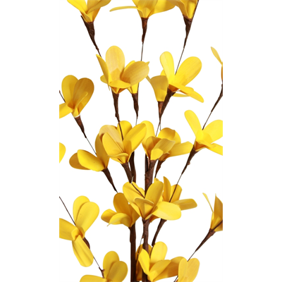 blossom branches (2 stem) yellow
