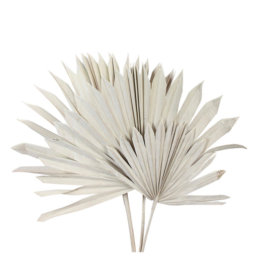 sun cut palm leaves - white wash
