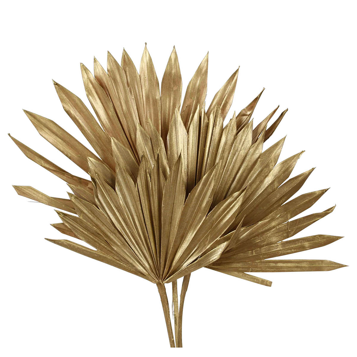 palm leave - sun cut - gold metallic - 3 stem