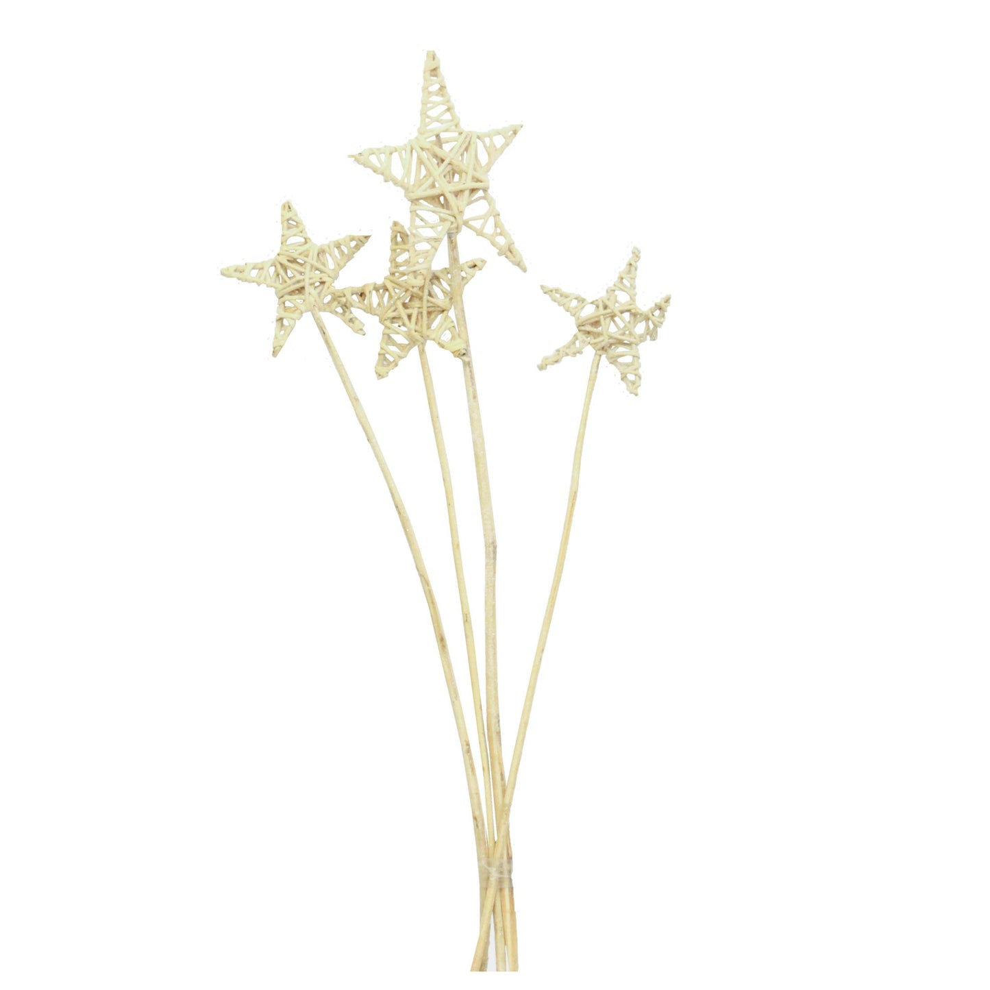 lata star - mixed sizes - natural
