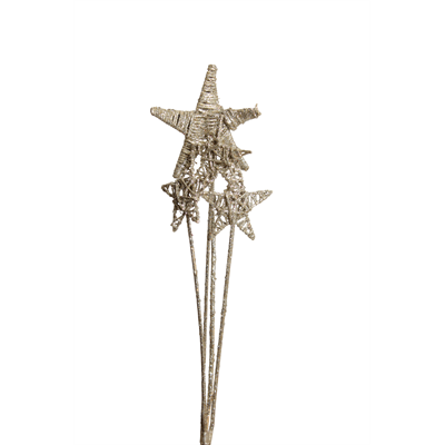 lata star - mixed sizes - champagne glitter