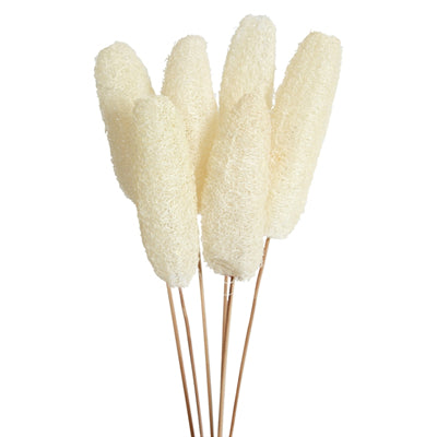 luffa - stem - bleached - bulk - 100/case