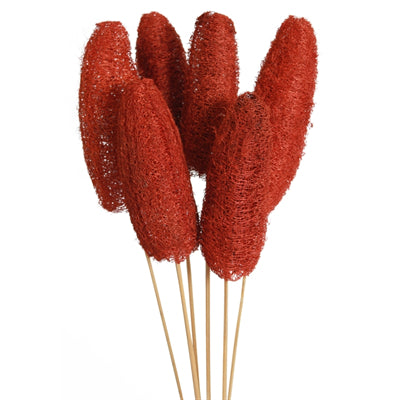 luffa - stem - mahogany - bulk - 100/case