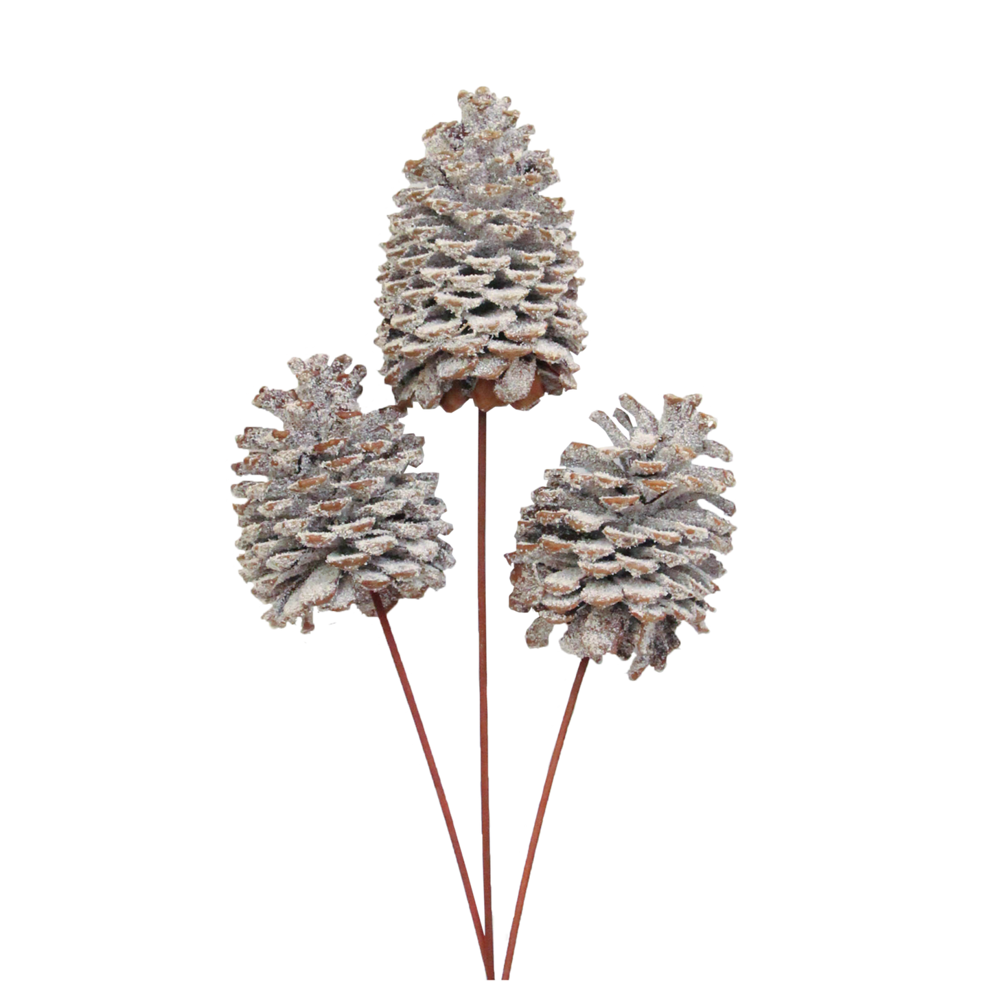 jeffrey pine cones x-large - 3 stem - snow