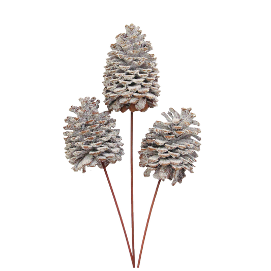 jeffrey pine cones x-large - 3 stem - snow
