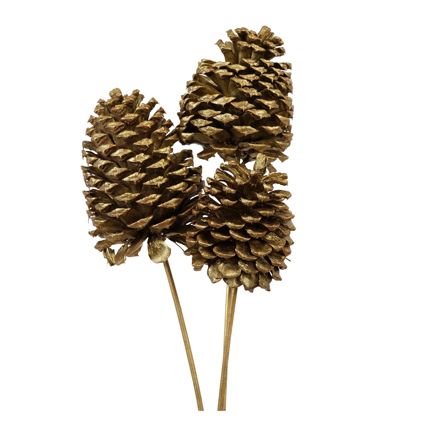 jeffrey pine cones x-large - 3 stem - gold metallic