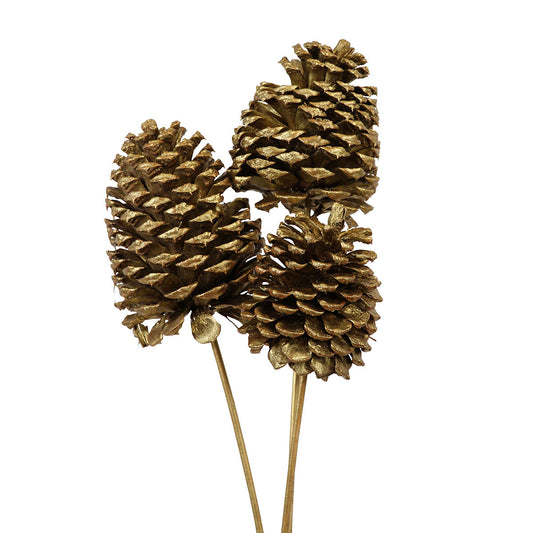 jeffrey pine cones jumbo - bulk - gold metallic - 30/case