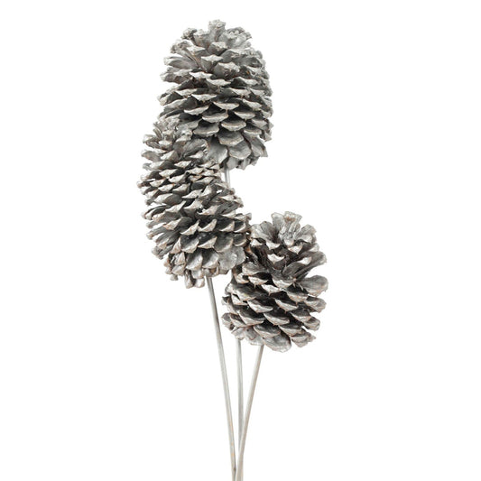 jeffrey pine cones jumbo - silver metallic - bulk - 30/case