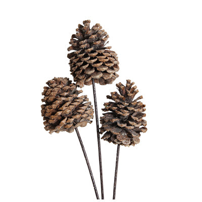 jeffrey pine cones jumbo - frosted - bulk - 30/case