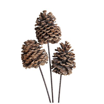 jeffrey pine cones x-large - 3 stem - frosted