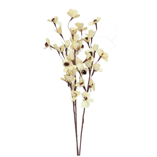 palm flower - bleached