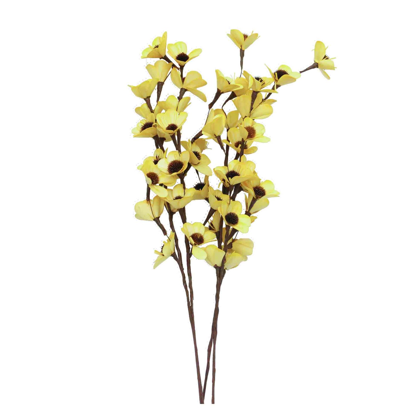 palm flower - yellow