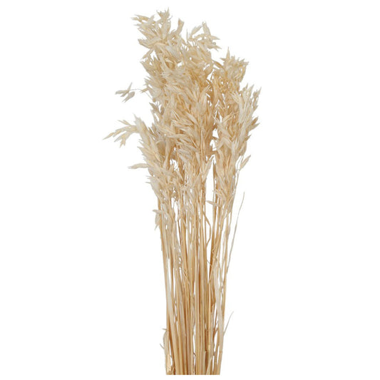 oats - 2oz - bleached