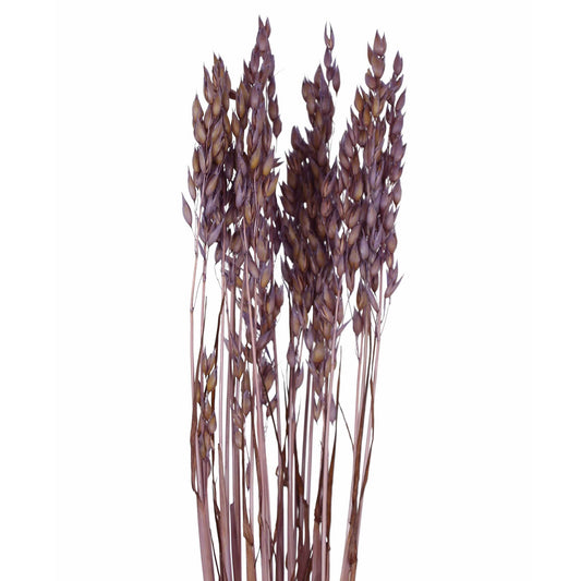 oats - 2oz - light purple