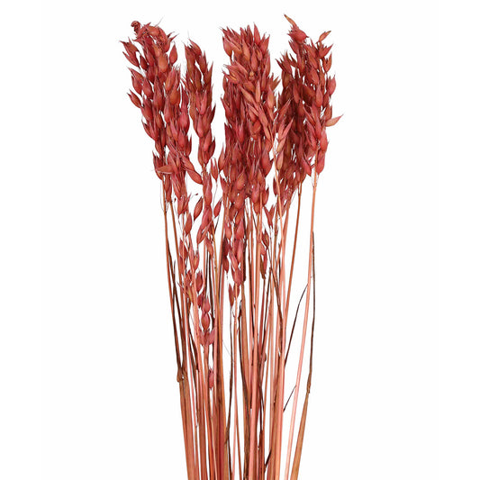 oats - 2oz - rose pink