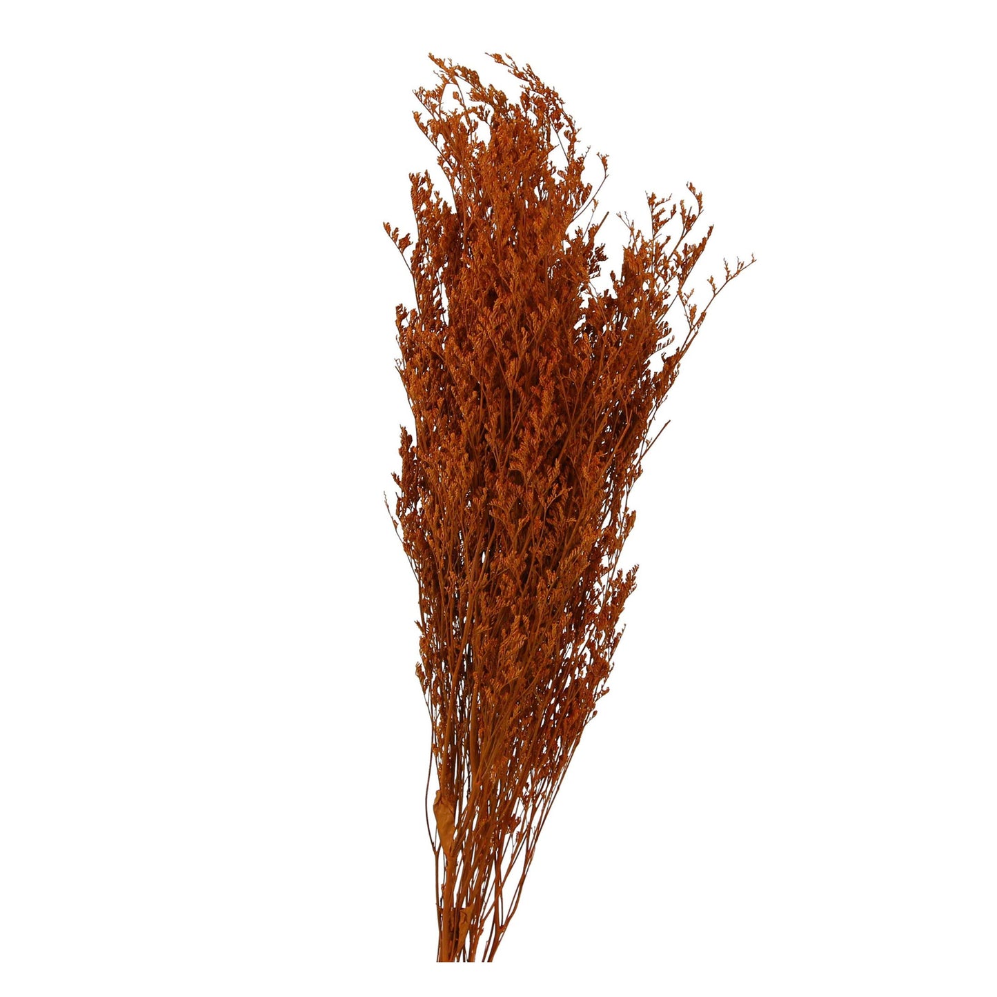 caspia - 2oz - orange