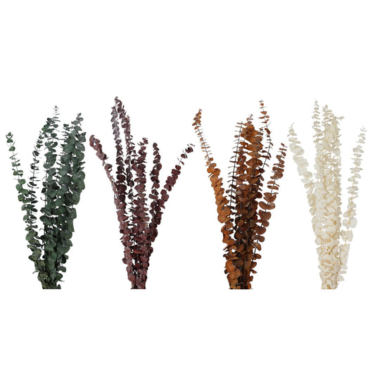 preserved eucalyptus - assorted case