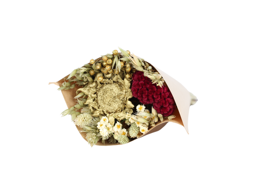 winter sunburst - small round