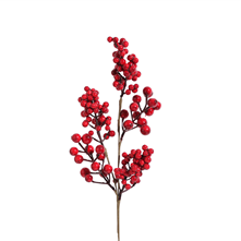 berry pick - red cluster