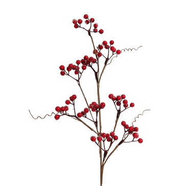 berry pick - red berry frosted