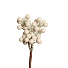 berry pick - cranberry cluster - white