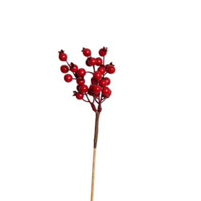 berry pick - huckleberry cluster - red