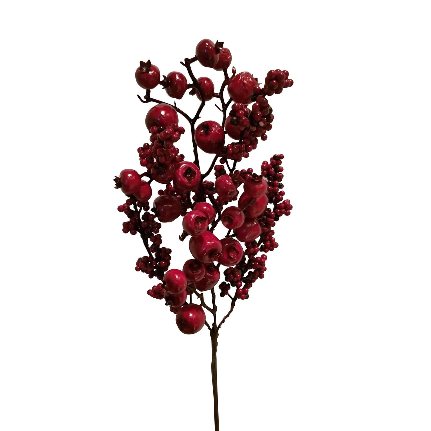 berry branch - red