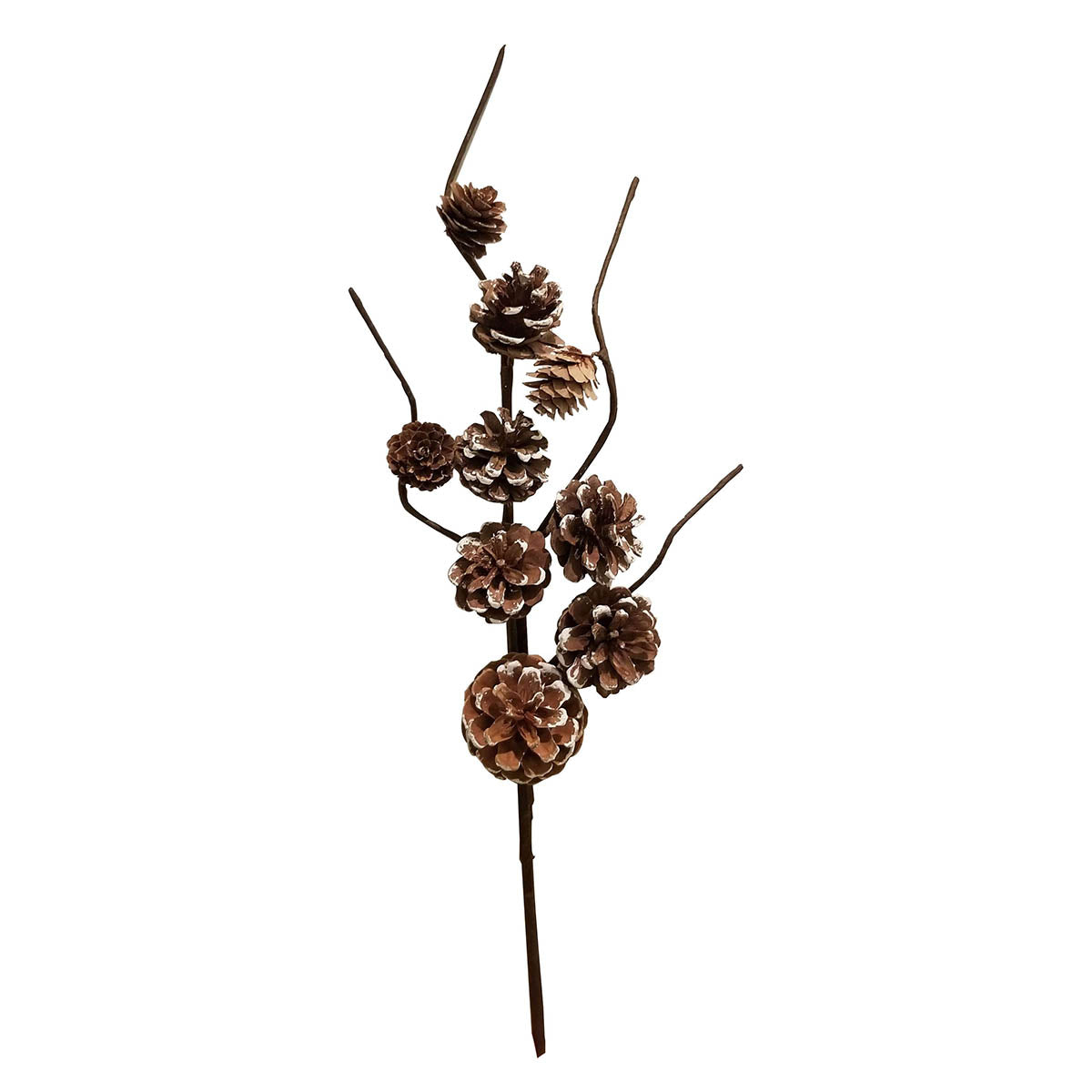 pine cone pick