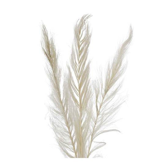 khejur feather - bleached