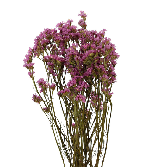 statice - pink - bunch