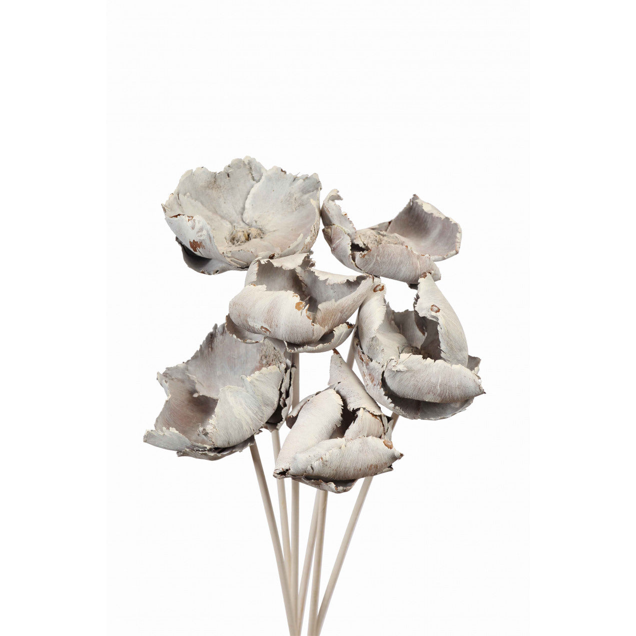 palm caps - white wash