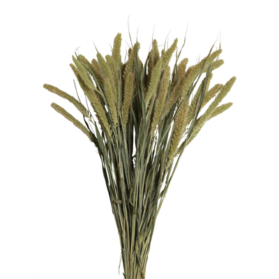 seteria - 4oz - natural