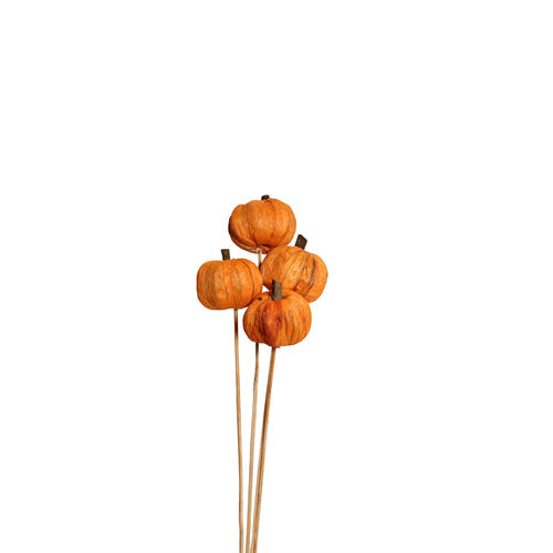pumpkins - stem - orange - bulk - 225/case