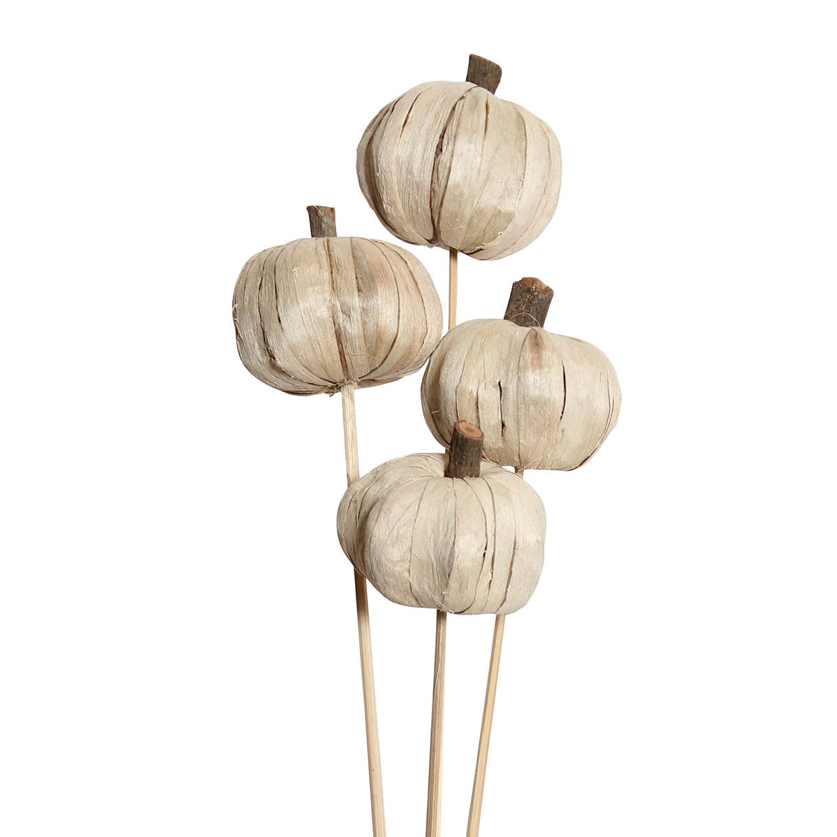 pumpkins - stem - white - bulk - 225/case