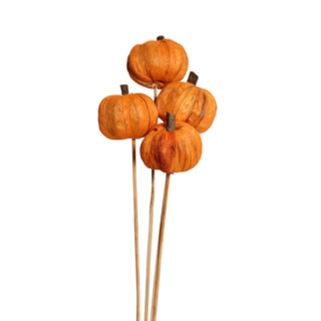 pumpkins - 4 stem - orange