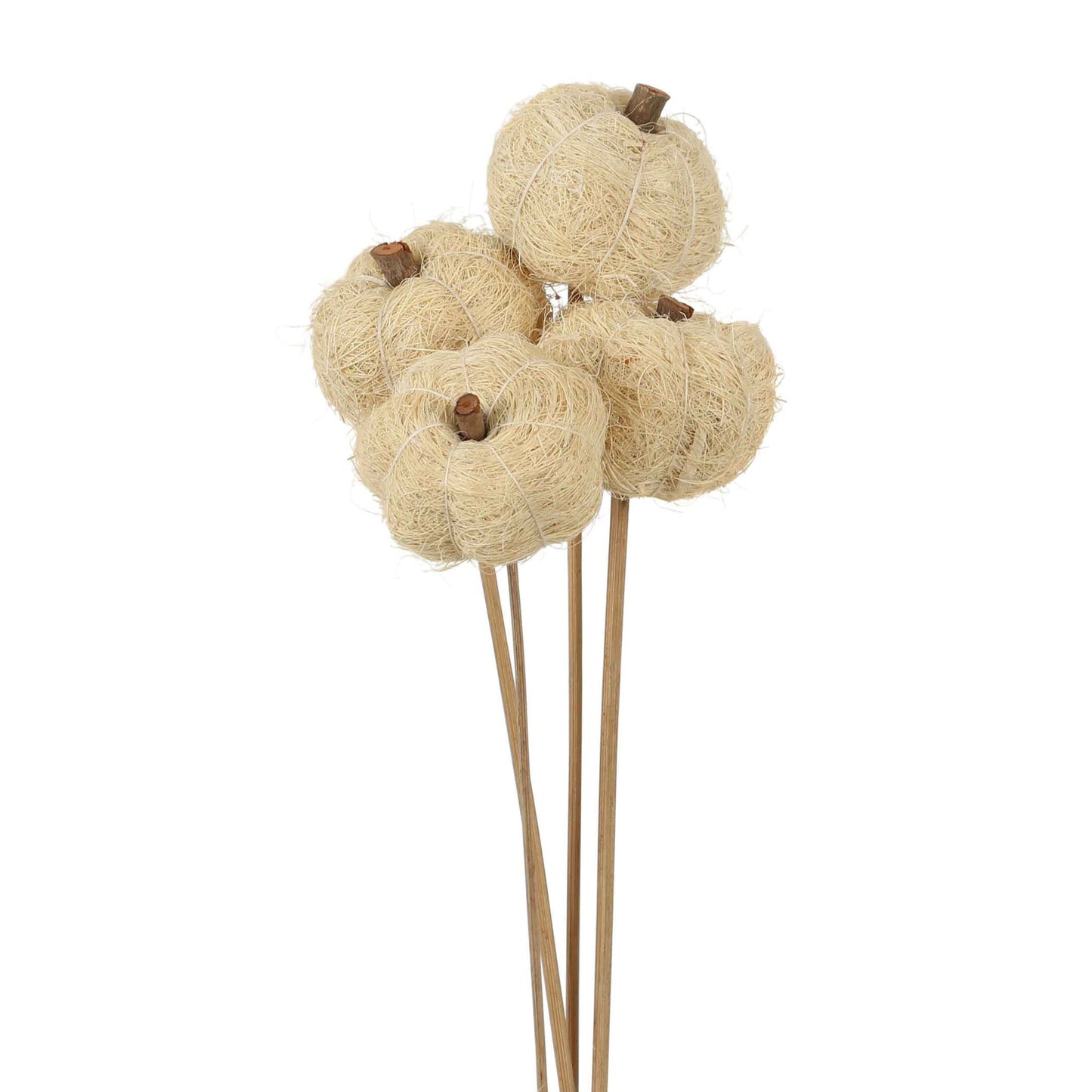 fiber pumpkins - stem - white - bulk - 225/case