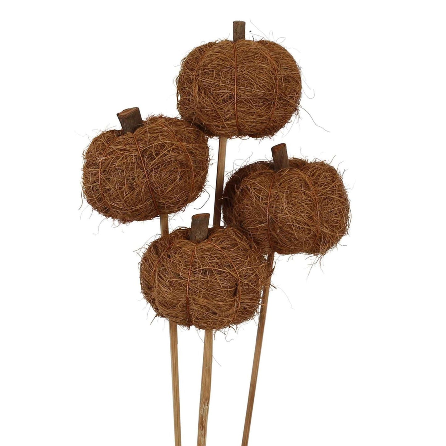 fiber pumpkins - natural