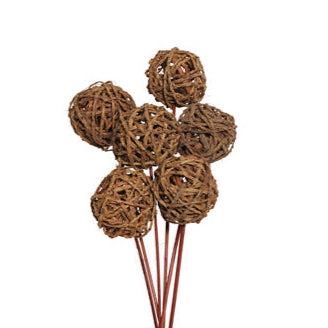 root ball 8cm (6 stem) natural