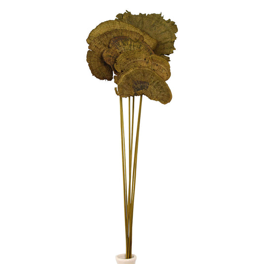 sponge mushroom - moss green