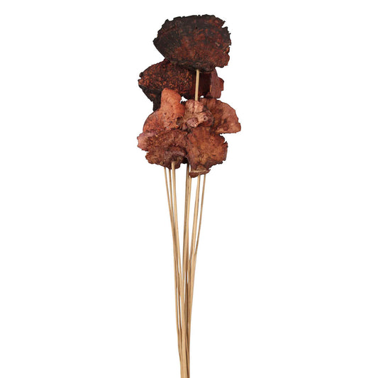 sponge mushroom (5 stem) mahogany