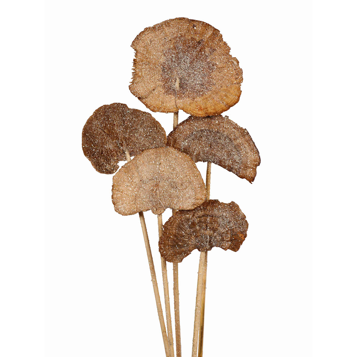 sponge mushroom (4-5 stem) frosted