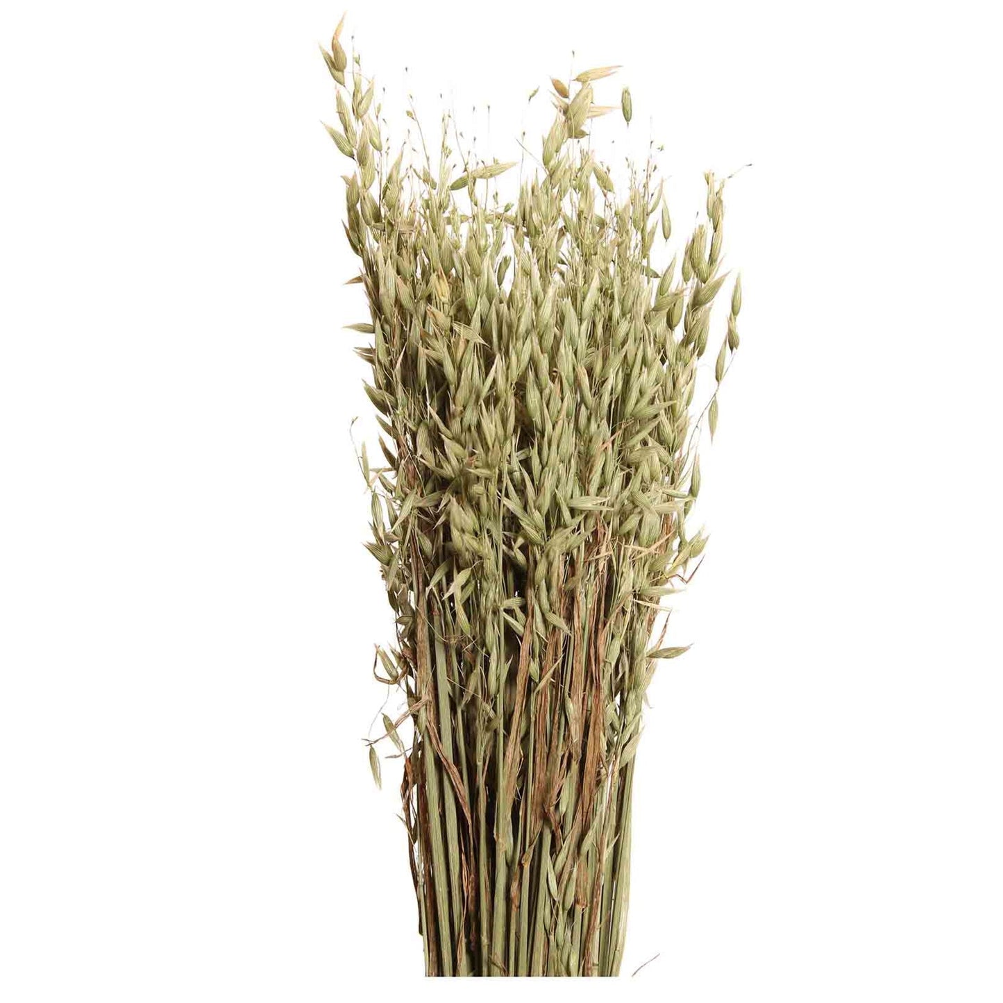 oats - 6oz - natural