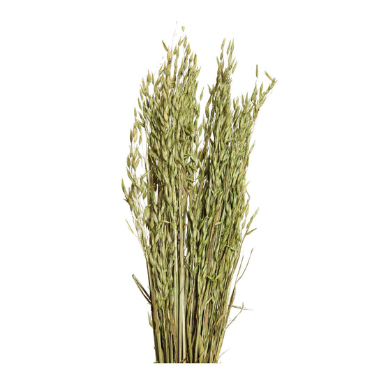 oats - 6oz - moss green